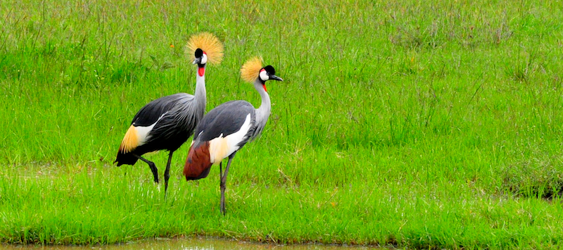 Melanie Heinrich Travel Images Africa